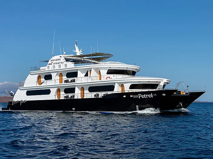Power Cat - Petrel Cabin