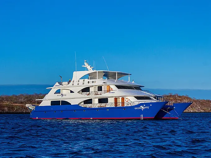 Power Catamaran C